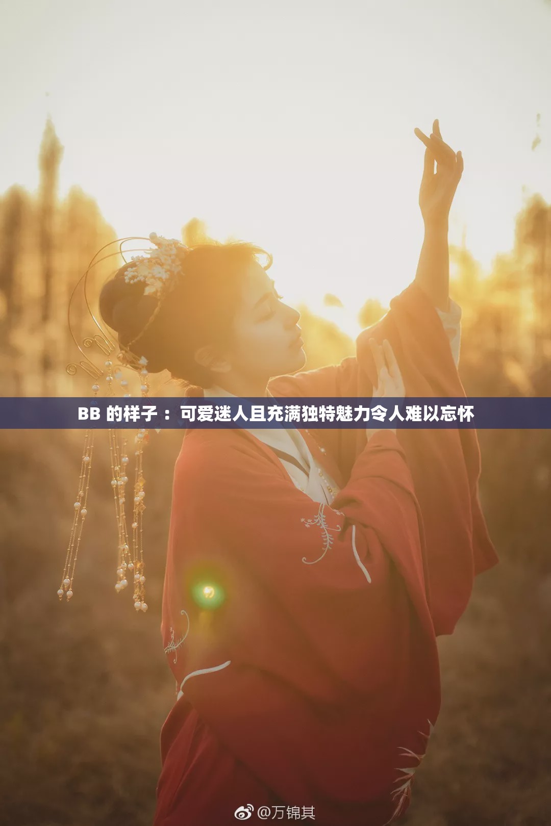 BB 的样子 ：可爱迷人且充满独特魅力令人难以忘怀