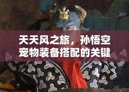 天天风之旅，孙悟空宠物装备搭配的关键性及高效资源管理策略解析
