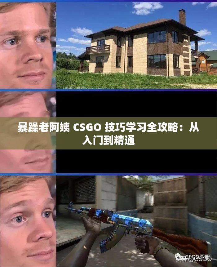 暴躁老阿姨 CSGO 技巧学习全攻略：从入门到精通