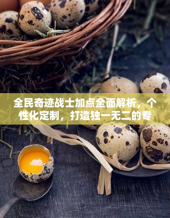 全民奇迹战士加点全面解析，个性化定制，打造独一无二的专属战斗风格