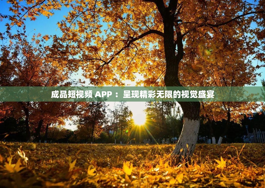 成品短视频 APP ：呈现精彩无限的视觉盛宴