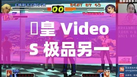 嘼皇 VideoS 极品另一类精彩内容大揭秘