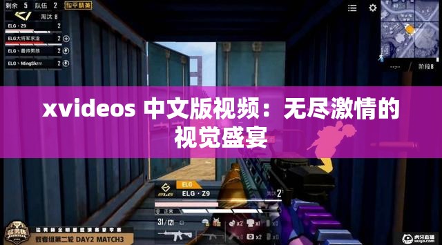 xvideos 中文版视频：无尽激情的视觉盛宴
