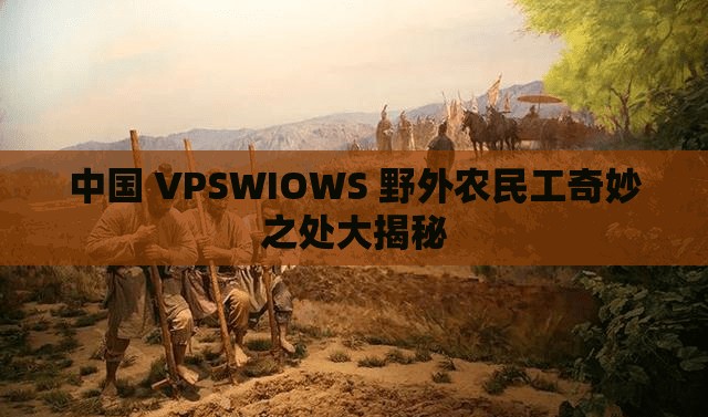 中国 VPSWIOWS 野外农民工奇妙之处大揭秘