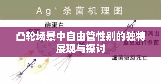 凸轮场景中自由管性别的独特展现与探讨