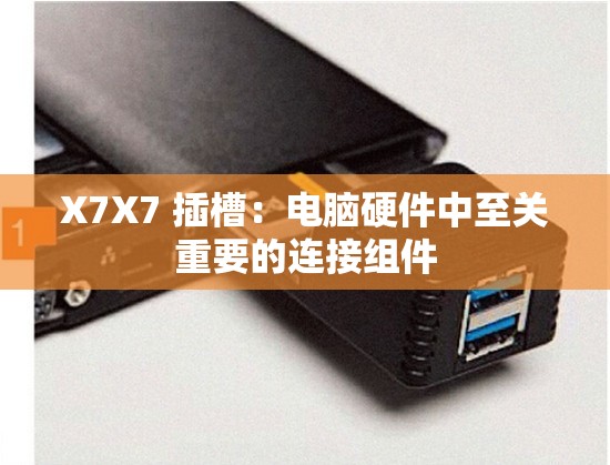 X7X7 插槽：电脑硬件中至关重要的连接组件
