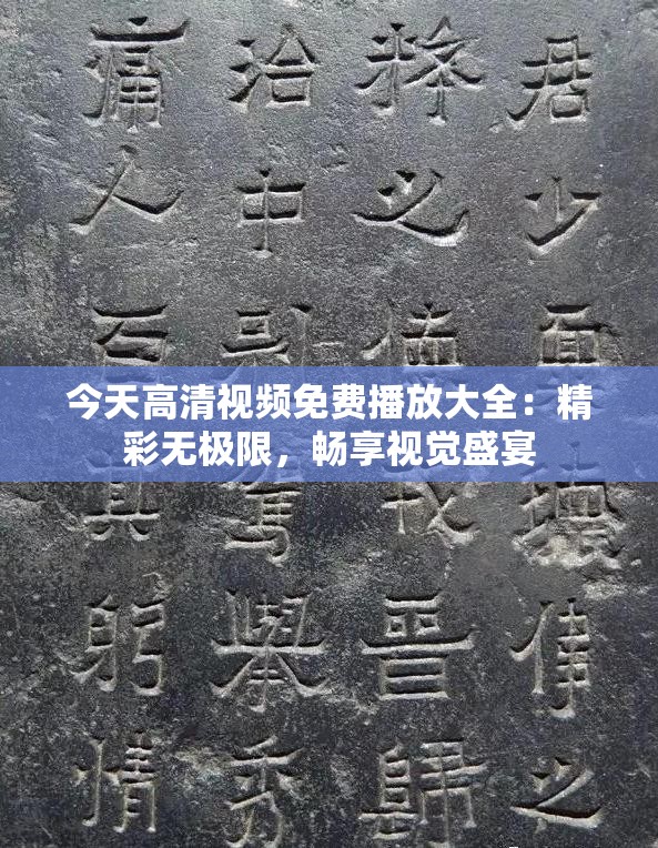 今天高清视频免费播放大全：精彩无极限，畅享视觉盛宴