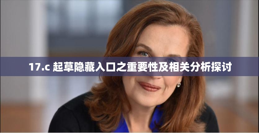 17.c 起草隐藏入口之重要性及相关分析探讨