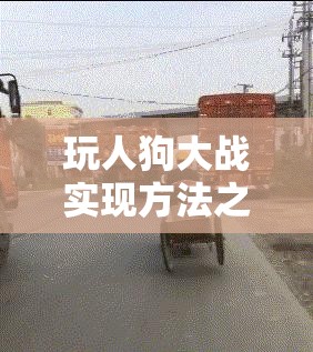 玩人狗大战实现方法之趣味探索与别样体验