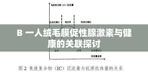 B 一人绒毛膜促性腺激素与健康的关联探讨