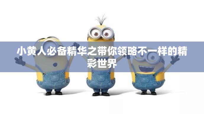 小黄人必备精华之带你领略不一样的精彩世界