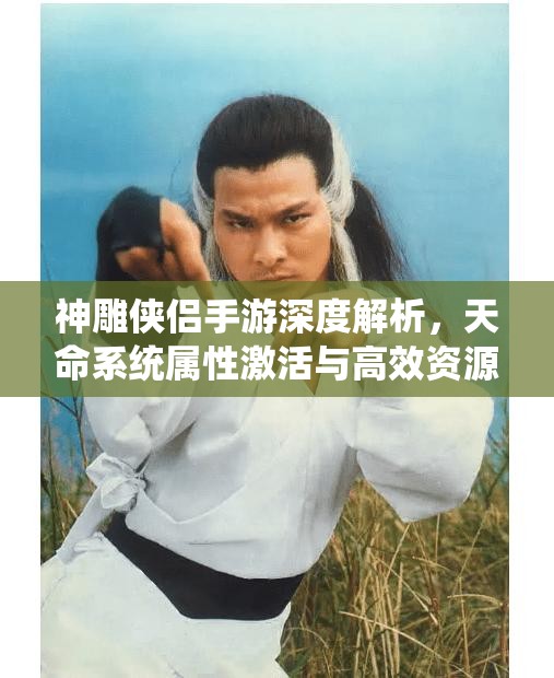神雕侠侣手游深度解析，天命系统属性激活与高效资源管理艺术
