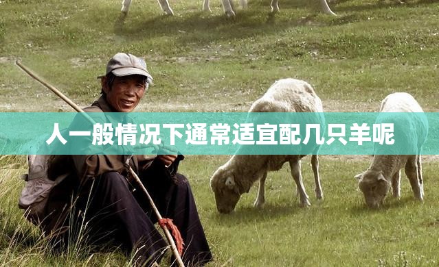 人一般情况下通常适宜配几只羊呢