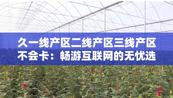 久一线产区二线产区三线产区不会卡：畅游互联网的无忧选择