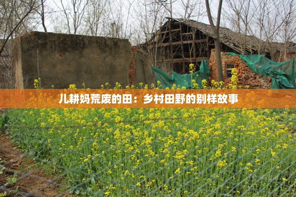 儿耕妈荒废的田：乡村田野的别样故事