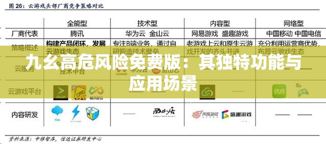 九幺高危风险免费版：其独特功能与应用场景