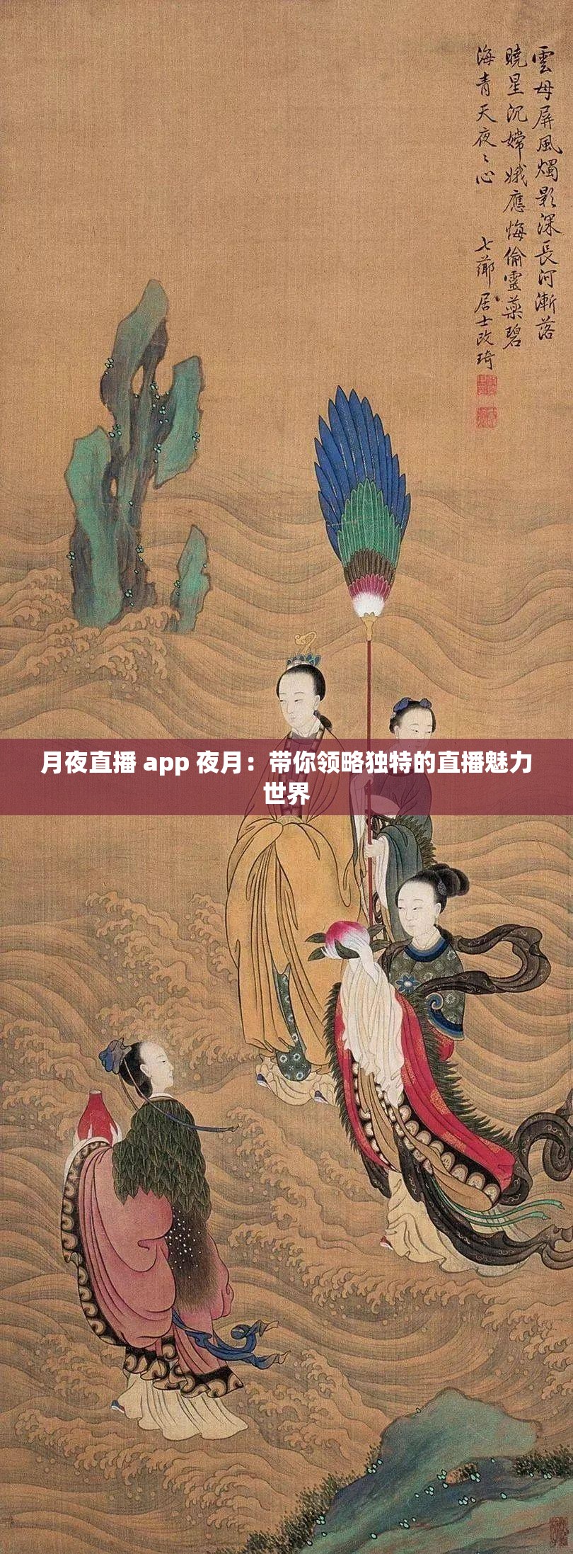 月夜直播 app 夜月：带你领略独特的直播魅力世界