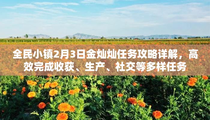 全民小镇2月3日金灿灿任务攻略详解，高效完成收获、生产、社交等多样任务