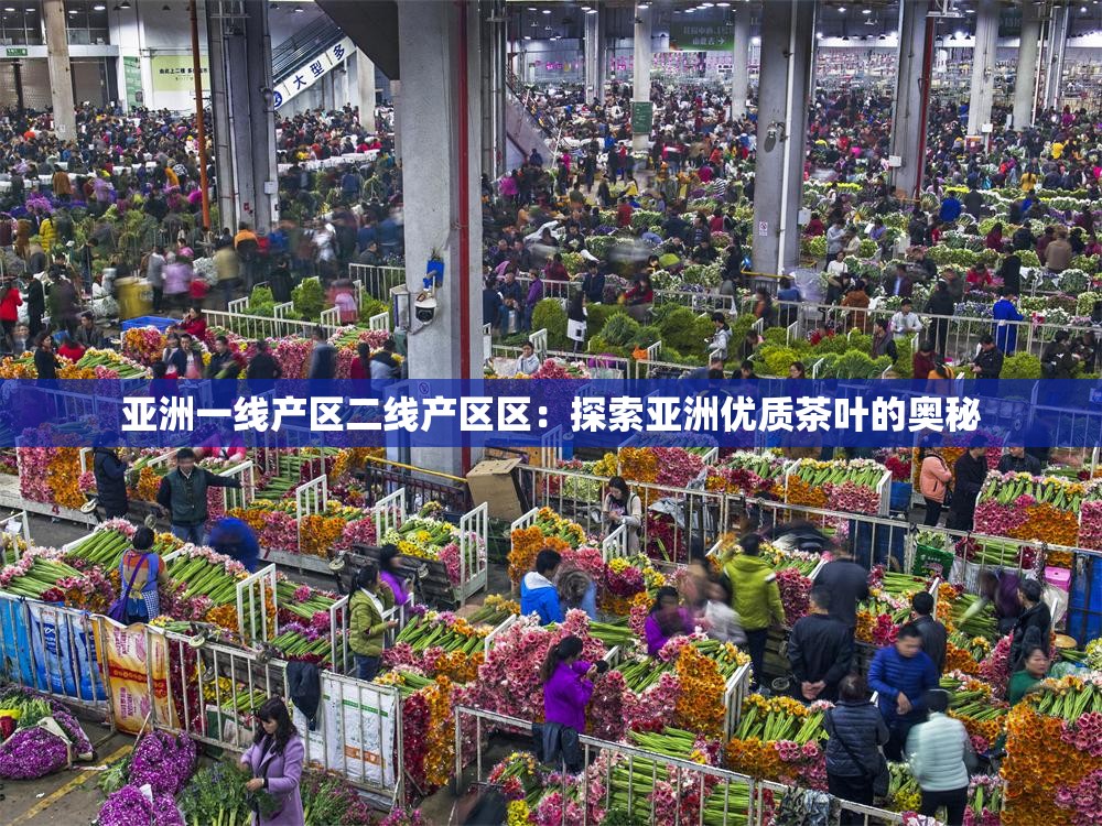 亚洲一线产区二线产区区：探索亚洲优质茶叶的奥秘