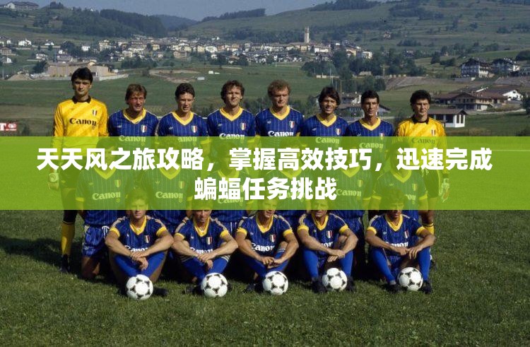 天天风之旅攻略，掌握高效技巧，迅速完成蝙蝠任务挑战