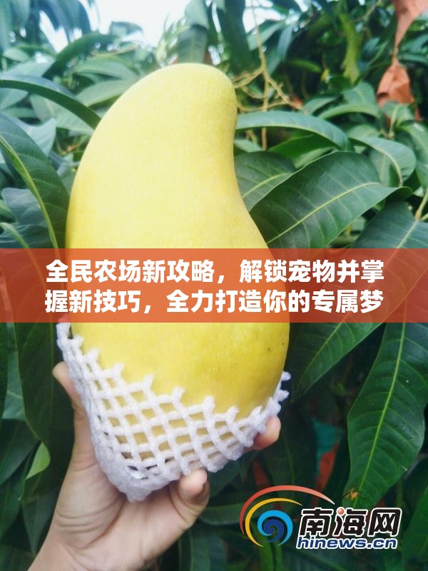 全民农场新攻略，解锁宠物并掌握新技巧，全力打造你的专属梦幻农场