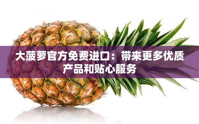 大菠萝官方免费进口：带来更多优质产品和贴心服务