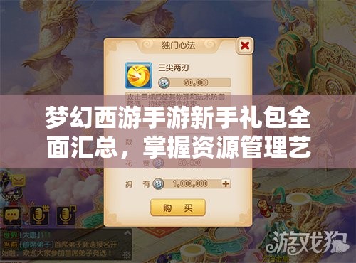 梦幻西游手游新手礼包全面汇总，掌握资源管理艺术，助力新手快速成长