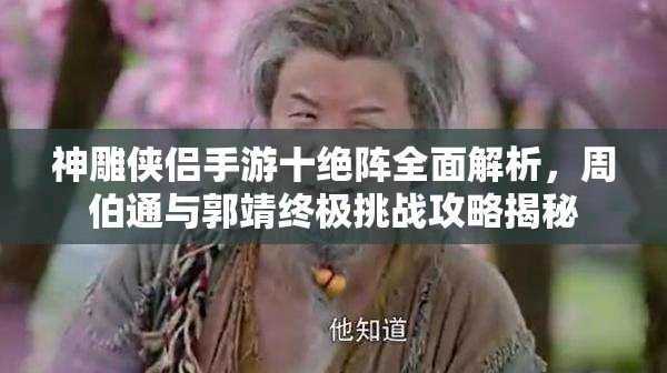 神雕侠侣手游十绝阵全面解析，周伯通与郭靖终极挑战攻略揭秘