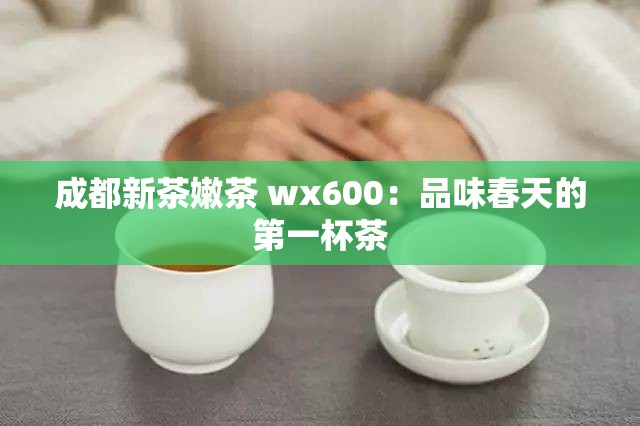 成都新茶嫩茶 wx600：品味春天的第一杯茶