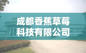 成都香蕉草莓科技有限公司：专注于科技创新的领军企业