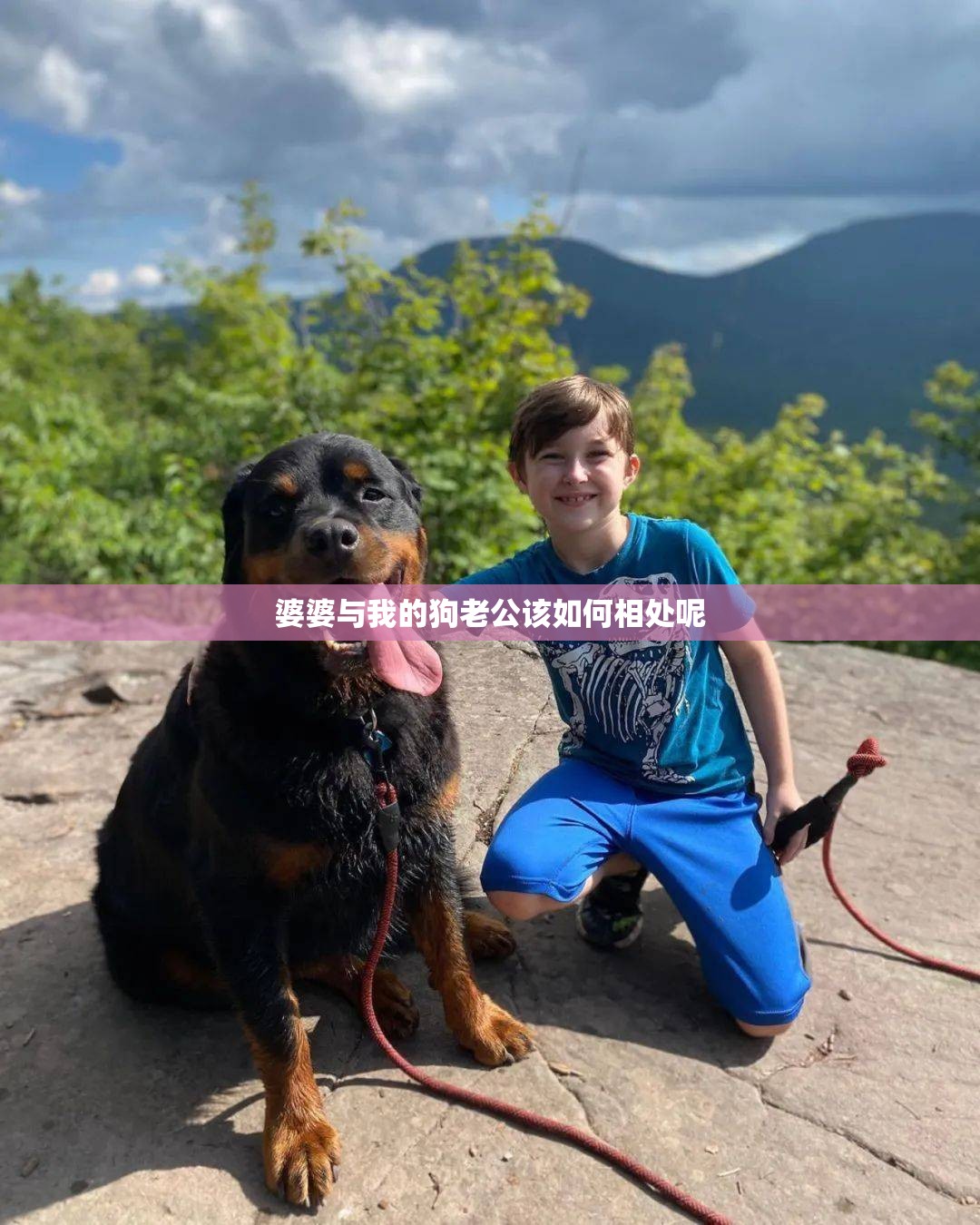 婆婆与我的狗老公该如何相处呢