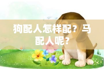 狗配人怎样配？马配人呢？