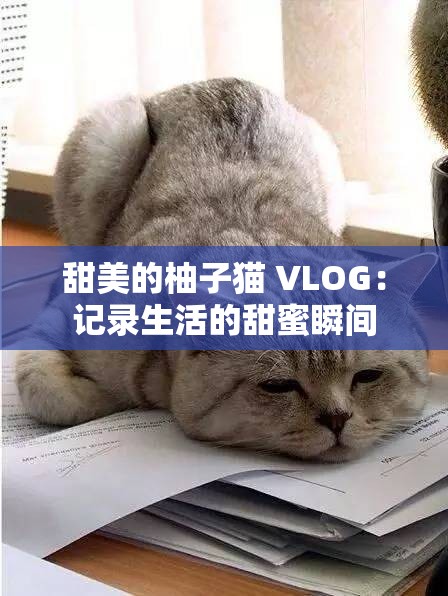 甜美的柚子猫 VLOG：记录生活的甜蜜瞬间