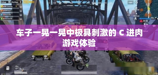 车子一晃一晃中极具刺激的 C 进肉游戏体验