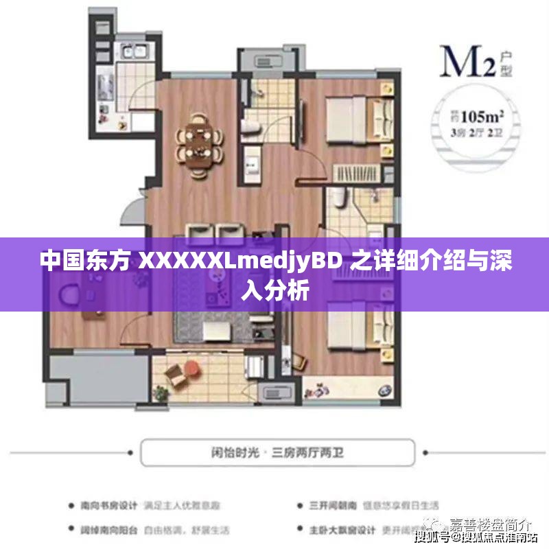 中国东方 XXXXXLmedjyBD 之详细介绍与深入分析