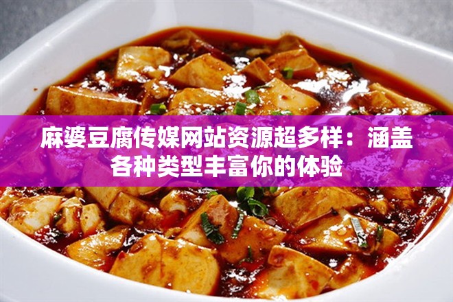 麻婆豆腐传媒网站资源超多样：涵盖各种类型丰富你的体验