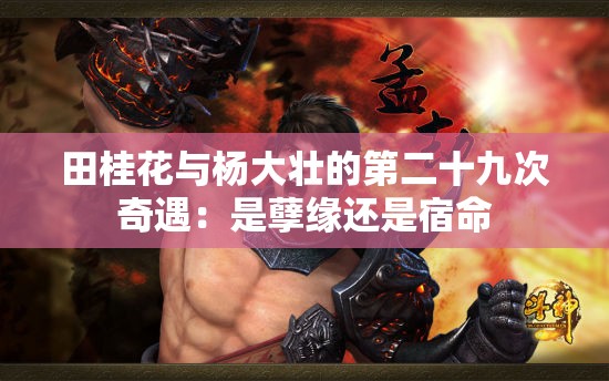 田桂花与杨大壮的第二十九次奇遇：是孽缘还是宿命