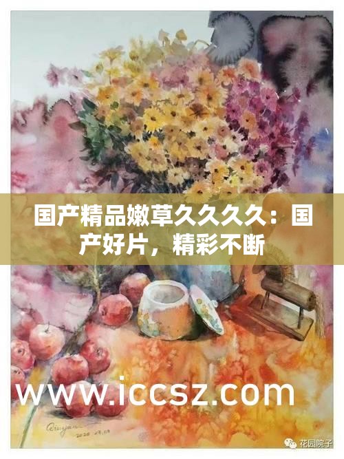 国产精品嫩草久久久久：国产好片，精彩不断