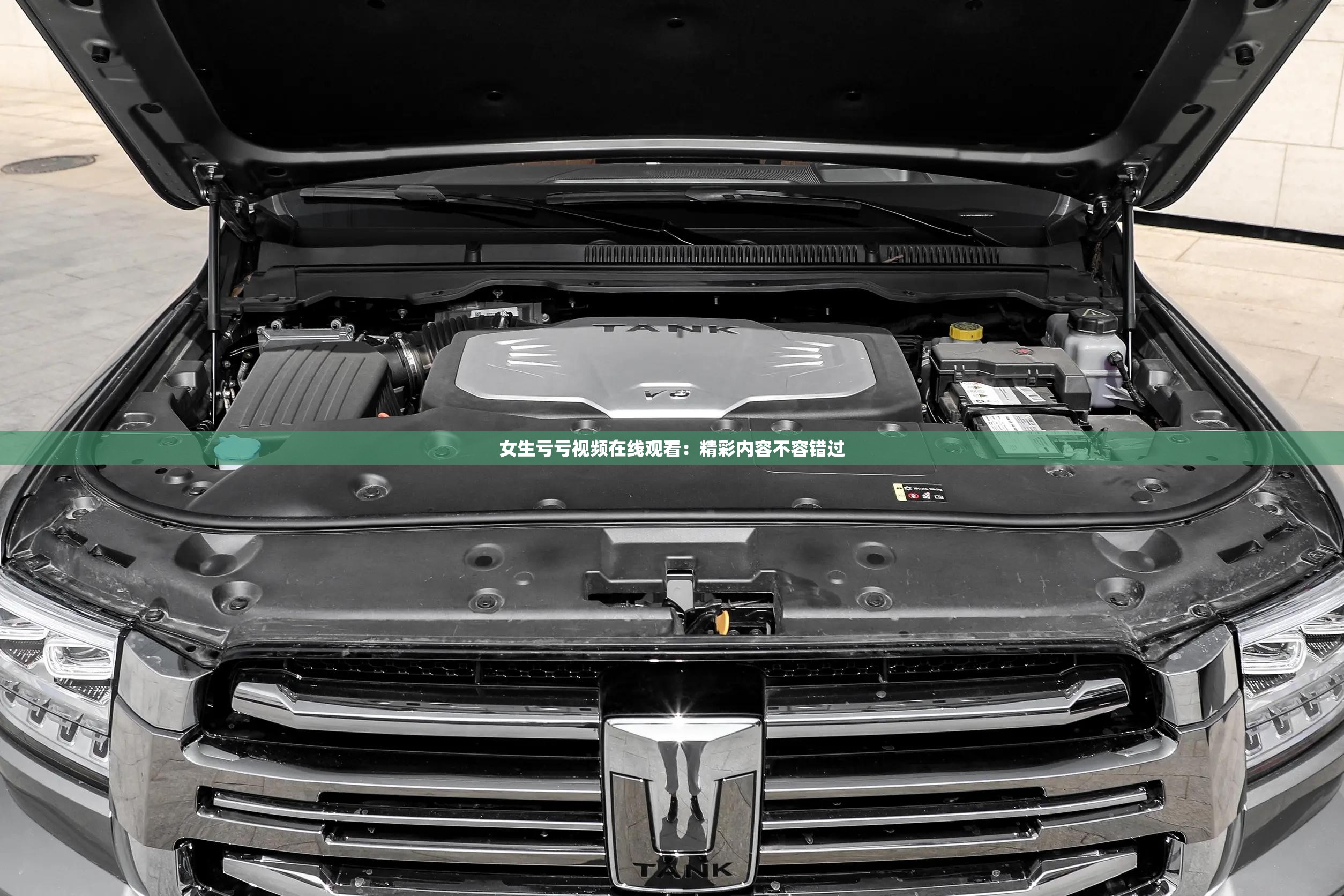 女生亏亏视频在线观看：精彩内容不容错过