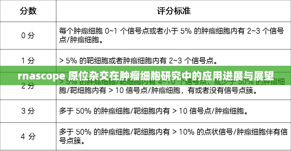 rnascope 原位杂交在肿瘤细胞研究中的应用进展与展望