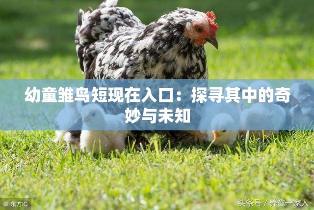 幼童雏鸟短现在入口：探寻其中的奇妙与未知