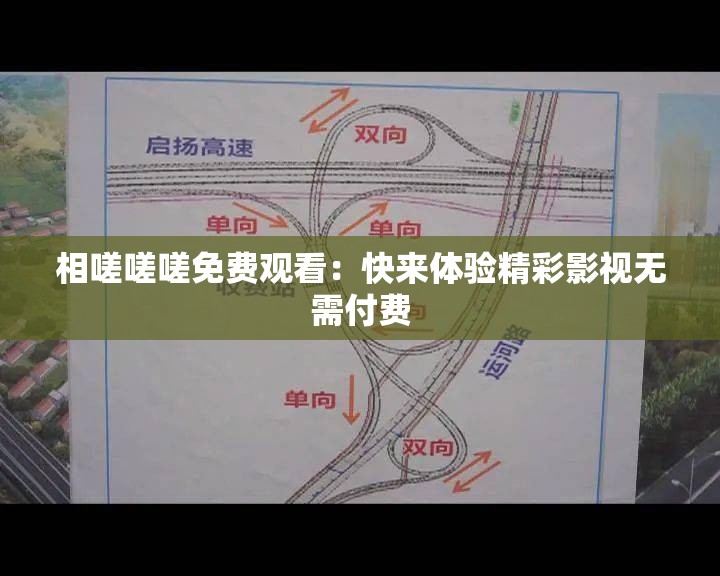 相嗟嗟嗟免费观看：快来体验精彩影视无需付费