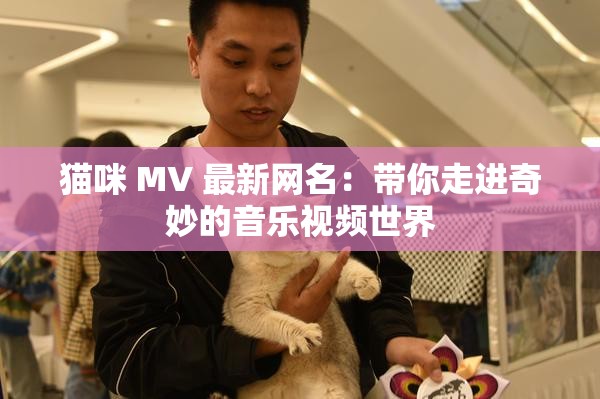 猫咪 MV 最新网名：带你走进奇妙的音乐视频世界
