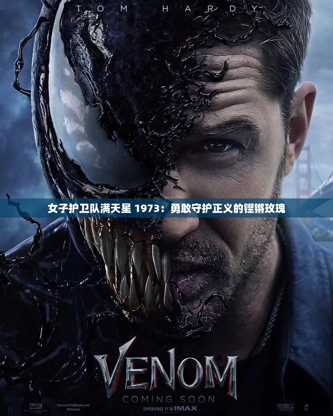 女子护卫队满天星 1973：勇敢守护正义的铿锵玫瑰