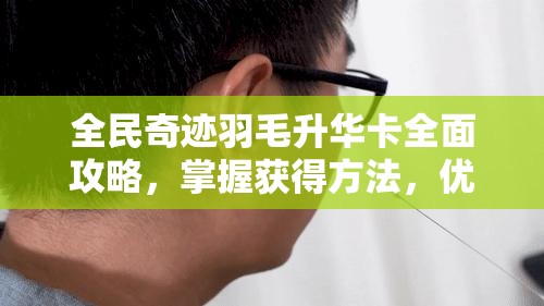 全民奇迹羽毛升华卡全面攻略，掌握获得方法，优化资源管理，实现价值最大化