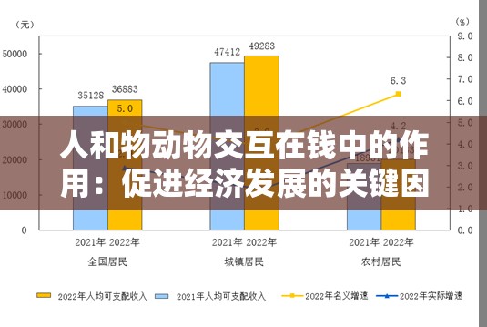 人和物动物交互在钱中的作用：促进经济发展的关键因素