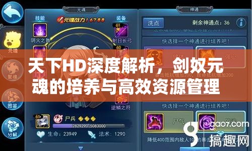 天下HD深度解析，剑奴元魂的培养与高效资源管理艺术