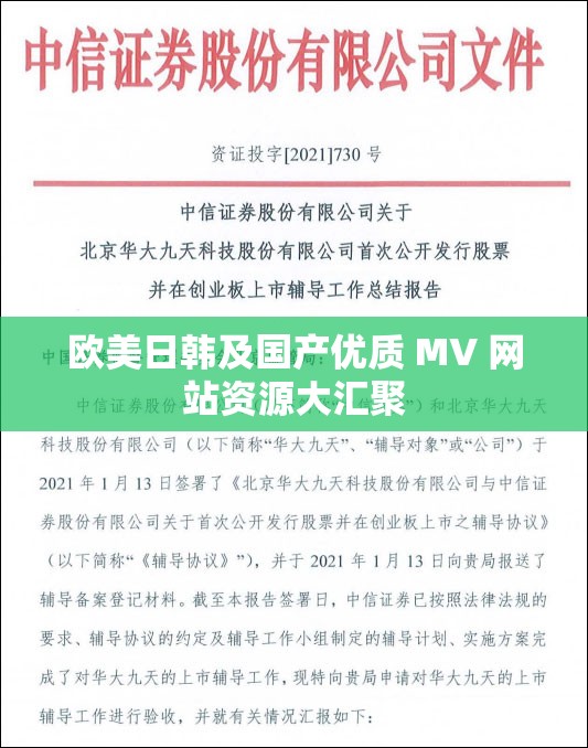 欧美日韩及国产优质 MV 网站资源大汇聚