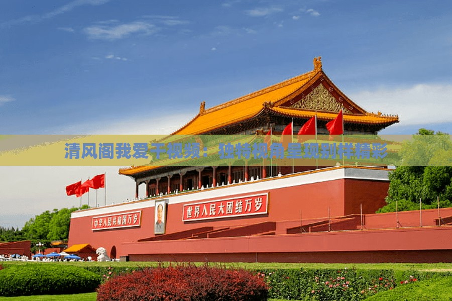 清风阁我爱干视频：独特视角呈现别样精彩