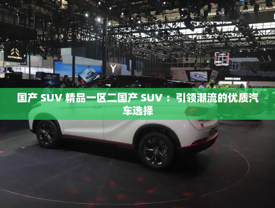 国产 SUV 精品一区二国产 SUV ：引领潮流的优质汽车选择